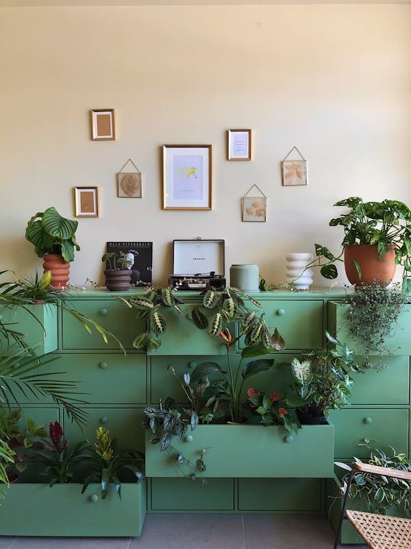 Les armoires phytosanitaires : sécurité et choix variés à découvrir